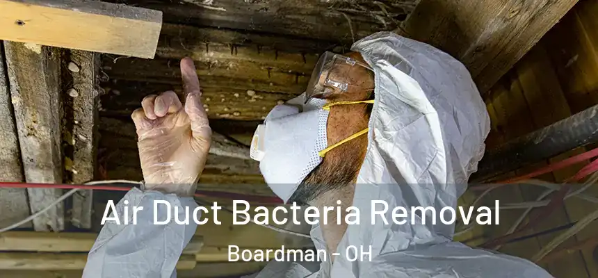 Air Duct Bacteria Removal Boardman - OH