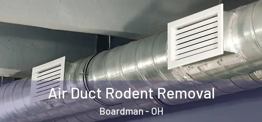 Air Duct Rodent Removal Boardman - OH