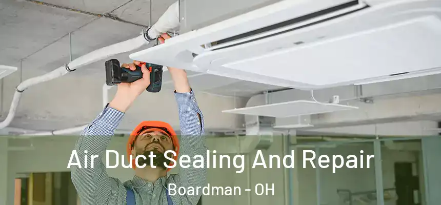  Air Duct Sealing And Repair Boardman - OH