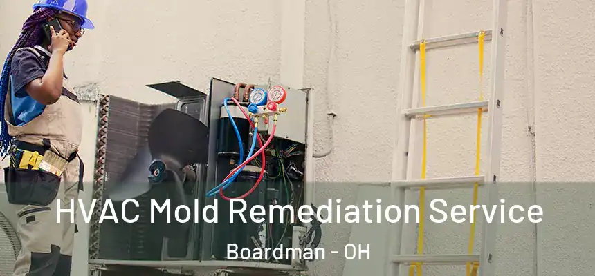  HVAC Mold Remediation Service Boardman - OH