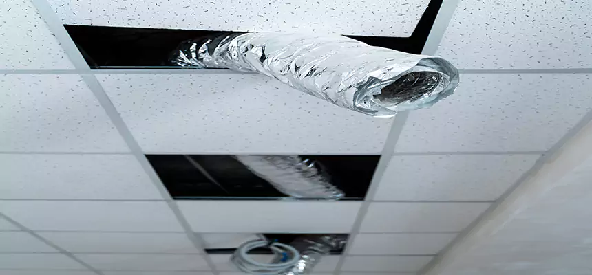 Our Air Duct Pet Hair Removal Services in Boardman, OH