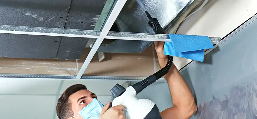 Our Air Duct Rodent Removal Services in Boardman, OH