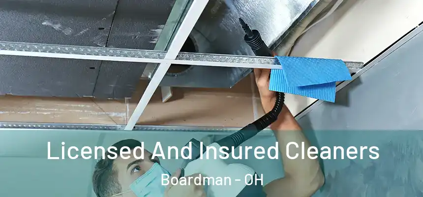  Licensed And Insured Cleaners Boardman - OH