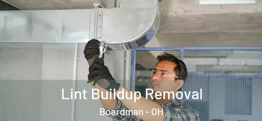  Lint Buildup Removal Boardman - OH