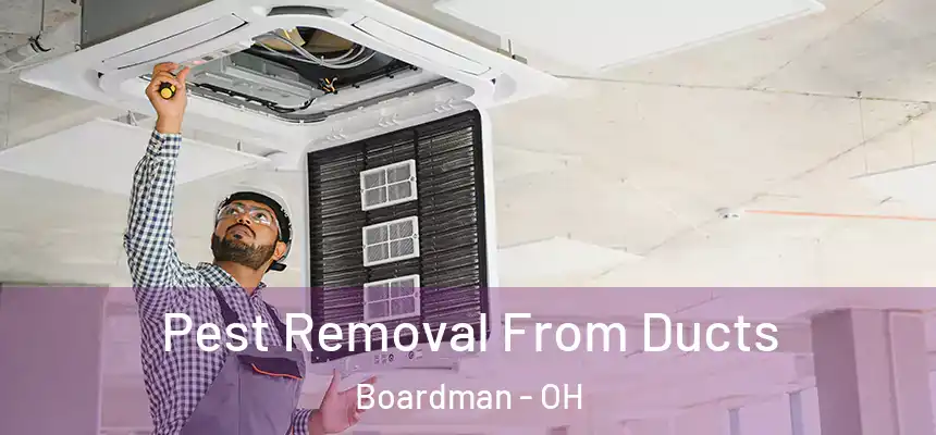  Pest Removal From Ducts Boardman - OH