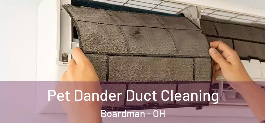  Pet Dander Duct Cleaning Boardman - OH