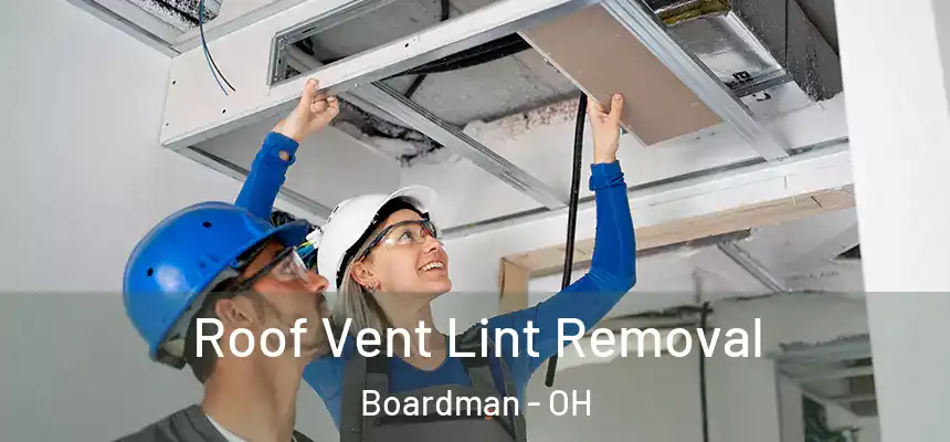  Roof Vent Lint Removal Boardman - OH