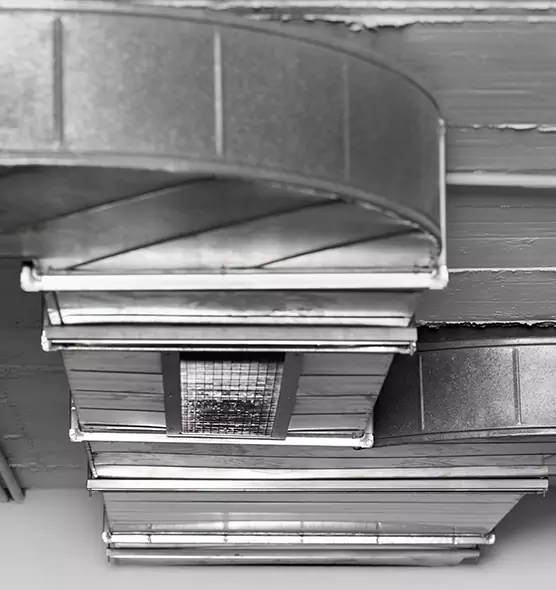 Professional Air Duct Pest Removal in Boardman, OH