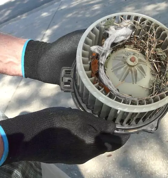 About Air Duct Rat Removal in Boardman, OH