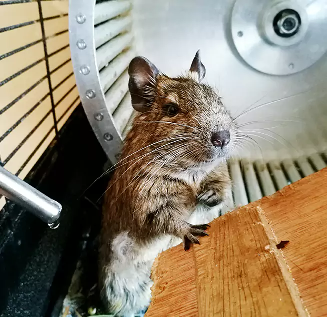 Why Homeowners & Businesses Trust Us Boardman, OH